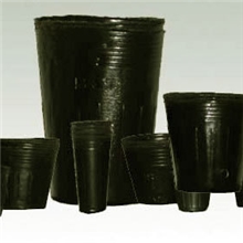 营养钵育苗花盆容器蔬菜苗木育苗袋