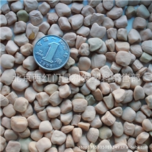 批发芽苗菜种子蔬菜种子松柳种子1斤装