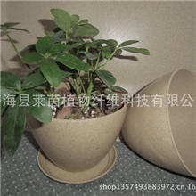 家庭摆设花盆园艺花盆可降解环保花盆桌面阳台盆栽