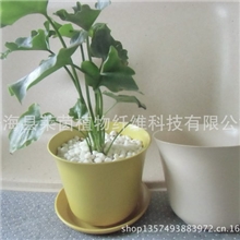 通用竹纤维可降解材质花盆窗口阳台桌面家庭园艺盆栽黄色白色