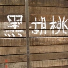 非洲黑胡桃、大量销售、缅甸黑胡桃、木板材木方原木胡桃木