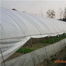 大棚管|大棚|蔬菜大棚|温室大棚|温室连栋大棚|大棚管厂|大棚骨架