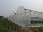 优质的大棚，连栋大棚，蔬菜大棚来自无锡双农盛大棚管厂