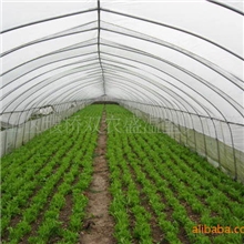 温室蔬菜大棚厂，温室蔬菜大棚