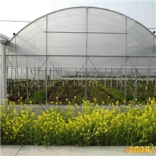 供应上海622型连栋温室(图)