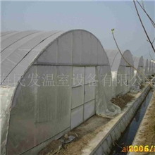 供应上海热镀锌钢管单栋温室大棚(图)