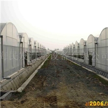 供应耐腐温室大棚上海622型热镀锌连栋大棚(图)