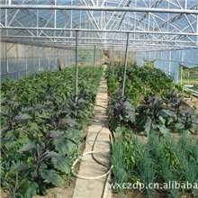 农业专用蔬菜大棚、花卉大棚等