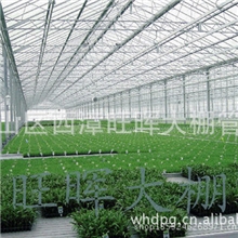 【大量供应优质】钢架大棚、蔬菜钢架大棚、钢架大棚厂、