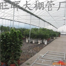 花卉大棚、旺晖连栋花卉大棚