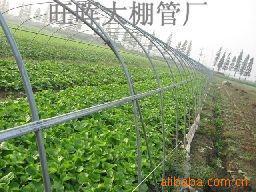 大棚、大棚管、无锡大棚