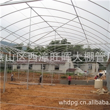 想了解大棚信息吗？找无锡旺晖大棚管厂