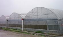 cLp--732型连栋温室大棚，732连栋塑料大棚