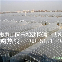 6米标准蔬菜大棚保证10年以上质量标准