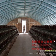 各种蔬菜大棚
