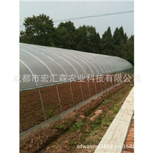 供应热镀锌钢管单体大棚，蔬菜大棚。钢架大棚*