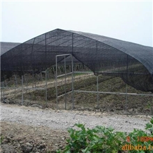 供应温室大棚,温室