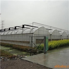 供应温室大棚,蔬菜大棚,大棚骨架