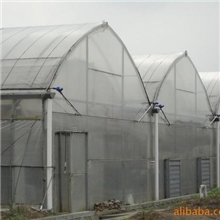 供应大棚支架,大棚骨架,蔬菜大棚,温室大棚,大棚架