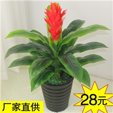 特价高仿真花盆栽植物客厅假花装饰批发70CM仿真大号鸿运当头花