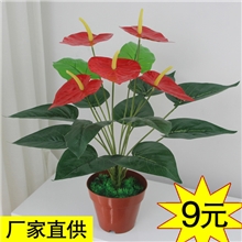 大量供应仿真植物小盆景盆栽家居装饰仿真花假花批发5头小红掌