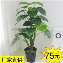 仿真植物盆栽盆景人造植物假树仿真树塑料花1.4米平安滴水观音