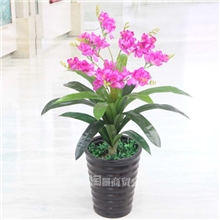 厂家直销仿真植物专业批发塑料盆栽盆景70cm单杆仿真香雪兰多色