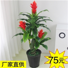 专来批发假树仿真树塑料花盆栽盆景商场酒店装饰1.2米平安鸿运