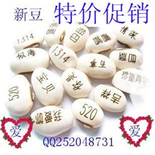 义乌魔豆厂家直销爱情魔豆白豆魔豆种子新奇特迷你植物工艺品