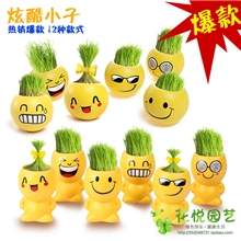 厂家直销炫酷表情草娃娃迷你植物工艺品桌面盆栽盆景好礼品