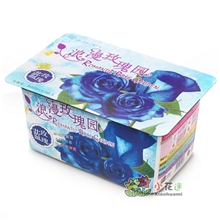 生产批发浪漫玫瑰园蓝玫瑰新奇特创意植物工艺品礼品盆栽盆景