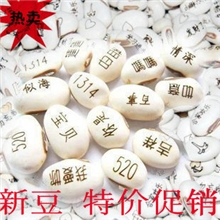 义乌魔豆厂家直销爱情魔豆种子（白豆）新奇特迷你植物工艺品