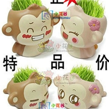 厂家直销批发正品草头娃娃种植（悠嘻猴草娃娃）DIY种植微型盆景
