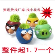 厂家直销桌面微型青草盆景（愤怒的小鸟）微型盆景草头娃娃种植