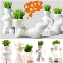 1个代发DIY办公室迷你植物盆栽青草种植(小白人草娃娃)X恋人