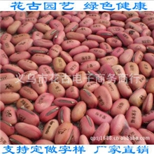 神奇红色魔豆批发（红豆）草娃娃批发魔草各类字样可定做刀豆