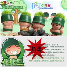 可以混批办公室家庭迷你植物盆栽(炮炮兵草娃娃)淘气郎青草种植