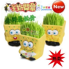 厂家直销桌面微型青草盆景微型盆景（三款海绵宝宝)草娃娃)种植