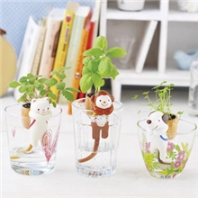 小花谷批发（尾巴吸水萌宠植物）桌面盆栽花卉绿植/猴子猫咪小狗