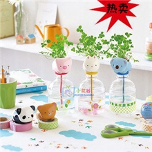 创意盆栽（宠物瓶植栽）桌面植物盆栽DIY养植热销地摊货源草娃娃