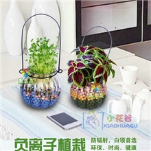 陶碳球（负离子植栽-南瓜）自制亲子DIY垂吊盆栽水培植物防辐射