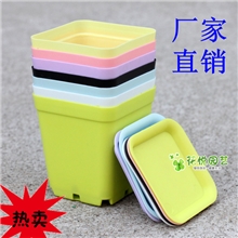 批发迷你花盆彩色方形小花盆多肉花盆育苗盆塑料花盆不含托盘