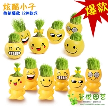 厂家直销炫酷表情草娃娃迷你植物工艺品桌面盆栽盆景好礼品