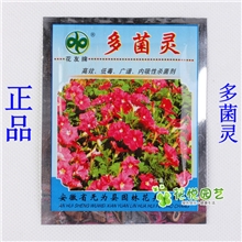 园艺农药杀菌剂多菌灵花卉植物高效低毒的杀菌药10克