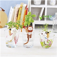 新品植物工艺品尾巴吸水萌宠盆栽草娃娃花卉盆景绿植好礼品