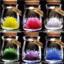 新奇特家居小商品许愿精灵桌面减压小玩意许愿瓶家居玻璃摆件