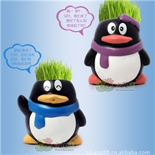 喜阴花卉喜阳植物室内花卉公仔盆景陶罐迷你QQ企鹅草娃娃学习用