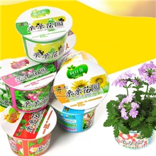 桌面摆件工艺品家居用品新奇特产品居家工艺品草娃娃亲亲花园