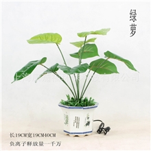 团购供货负离子活氧生态盆景开业赠品特色礼品健康时尚礼品