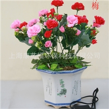 负离子生态盆景，北京礼品、净化空气杀菌灭毒、健康生活好帮手。